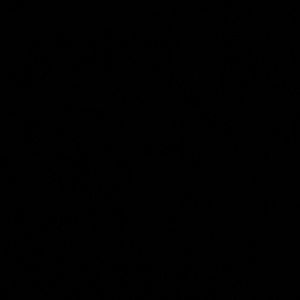 Meet your Posher, Kora